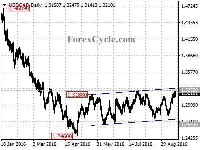 usdcad chart